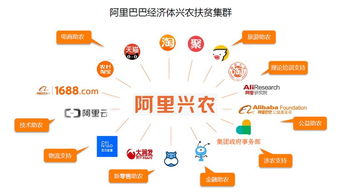 阿里興農(nóng)生態(tài)圈再添新地標(biāo) 盒馬擴(kuò)建引領(lǐng)農(nóng)產(chǎn)品直供直銷新鏈路